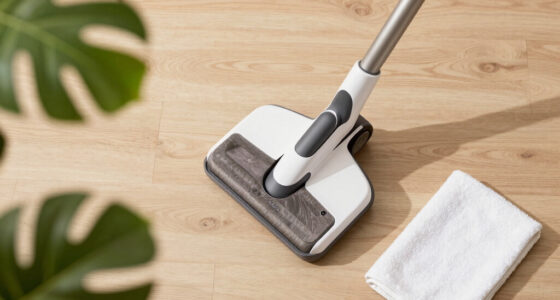 Eco-Friendly Carpet Steam Cleaners: A Back to school Guide