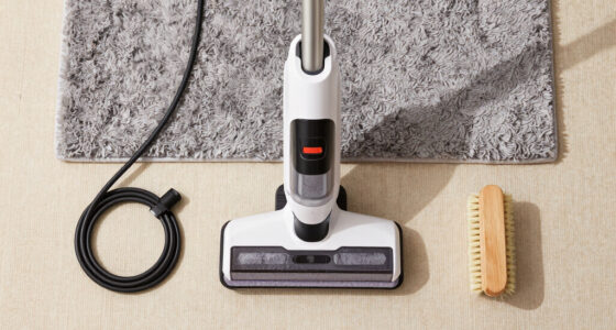10 Best Heated Carpet Cleaner in 2026