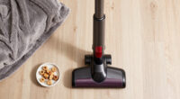 10 Best Upright Vacuum for Pet Hair in 2026