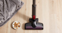 10 Best Upright Vacuum for Pet Hair in 2026