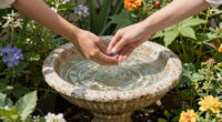 14 Best Bird Baths in 2026