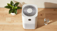 15 Best Air Purifiers in 2026