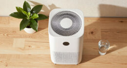 15 Best Air Purifiers in 2026