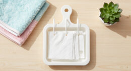 15 Best Dryer Sheet Holders in 2026