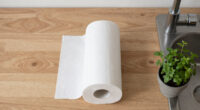 15 Best Paper Towels for Kitchens in 2026
