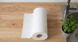 15 Best Paper Towels for Kitchens in 2026