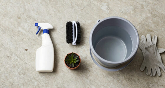 How to Clean a Concrete Driveway Without a Pressure Washer