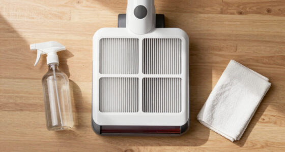 How to Clean a Vacuum Filter the Right Way
