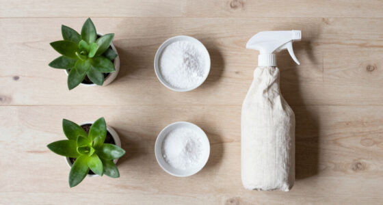 How to Clean the Air Without Buying Anything New
