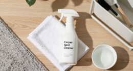 How to Spot Clean Carpet the Right Way