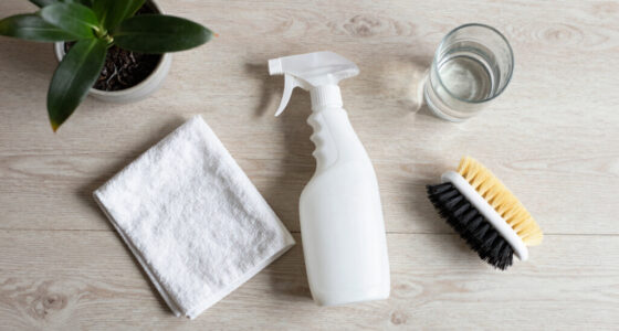 The Cleaning Habits of People With Spotless Homes