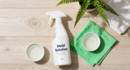 The Real Cause of Mold in Your Home