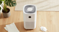 10 Best Air Purifier For Allergies And Asthma In 2026