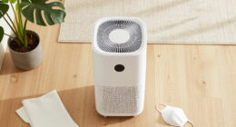 10 Best Air Purifier For Allergies And Asthma In 2026