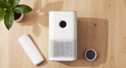 10 Best Air Purifier For Dust In 2026