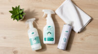 6 Best Eco-Friendly Carpet Stain Removers in 2026