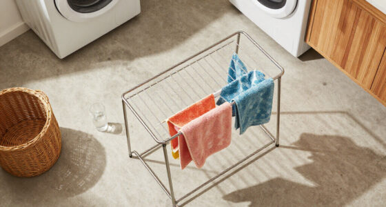 7 Best Heated Drying Rack for Laundry Rooms in 2026
