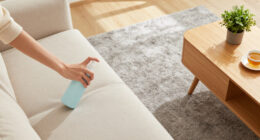 How to Neutralize Strong Cooking Odors in Carpet and Sofas