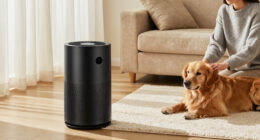 14 Best Air Purifiers for Pet Odors in 2027