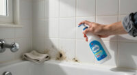 14 Best Bathroom Mold and Mildew Removers for 2027