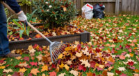 Don’t Throw Out Your Raked Leaves—Here Are 7 Smart Things To Do With Them Instead