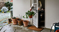 Should You Leave Potted Plants Outdoors In The Winter?